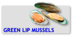 Green Lip Mussels